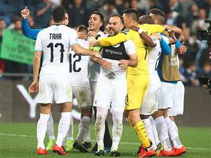 סיבה למסיבה (אלן שיבר)