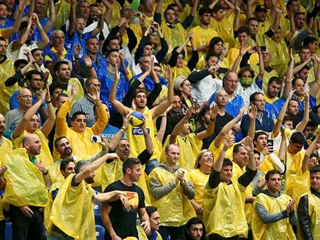 כ-100 צהובים ילוו את מכבי לסרביה (אלן שיבר)