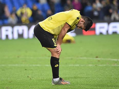 אלמוג כהן, זוכה לתמיכה מהמנכ"ל (ברני ארדוב)