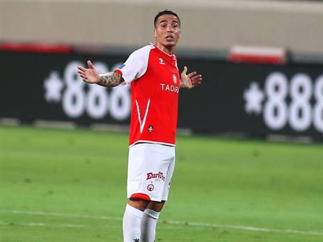 ספג צהוב מכוון. ז'וסוואה (אלן שיבר)