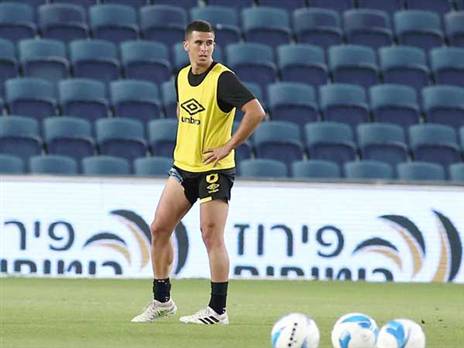 ורד. ייעדר בשל צהובים (אלן שיבר)