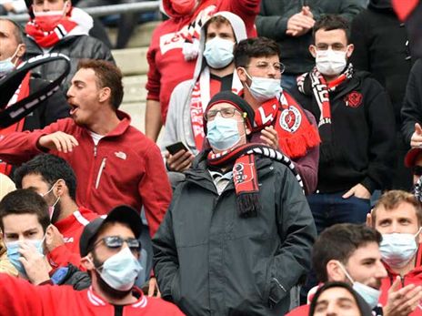 (ברני ארדוב)