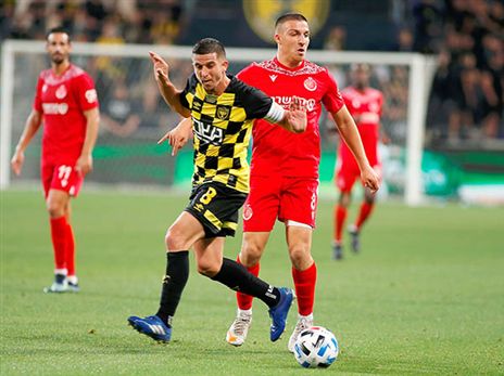 ורד. ממתין להצעה לשנתיים (אלן שיבר)