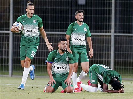 הירוקים לא שוקעים באכזבה (אלן שיבר)