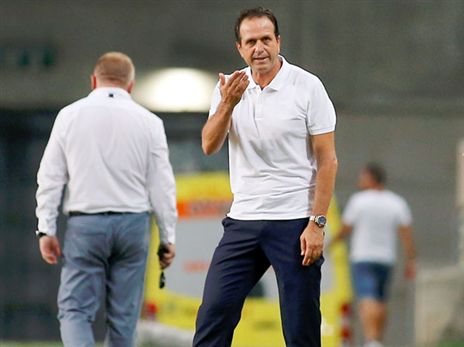 (צילום: אלן שיבר)