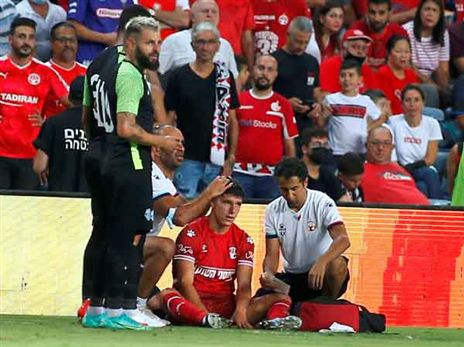 דדיה בספק (אלן שיבר)