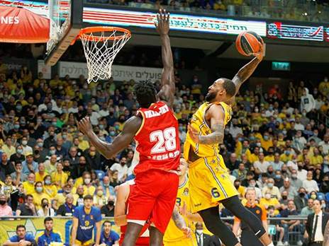 וויליאמס התעופף (אלן שיבר)