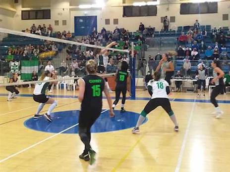 (צילום: איגוד הכדורעף)