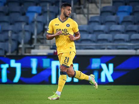 מתי הוא יבוא לידי ביטוי? אלמוג (אלן שיבר)