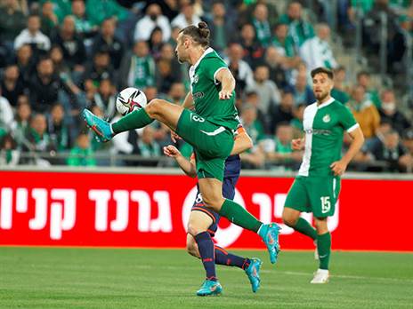 גולדברג. עונה נפלאה (אלן שיבר)