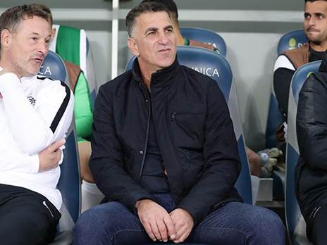 ממשיך להעמיק את הרזומה". בלבול (אלן שיבר)