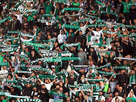 יעניקו אווירה ביתית (אלן שיבר)