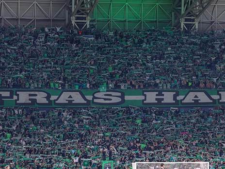 התגעגעו לקהל (דני מרון)