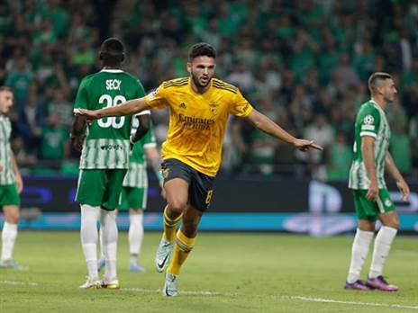 הקפיץ את המנייה (GETTY)