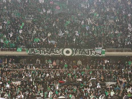 ערב מורכב (אלן שיבר)