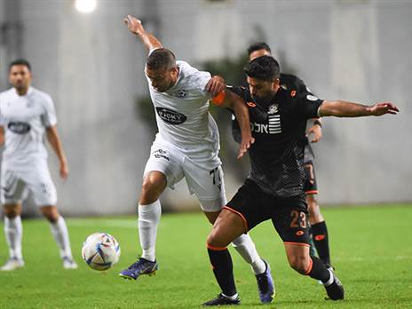 (ברני ארדוב)