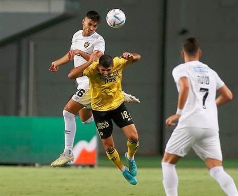 מצהוב לכתום? (אלן שיבר)