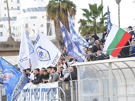 (ברני ארדוב)