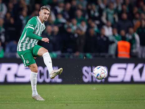 "מרגיש כמו בן בית" (מאור אלקסלסי)