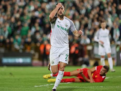 דוד. לא רציני לשלוח אותו להתרסק על הבלמים הענקיים של אשדוד (לירון מולדובן)