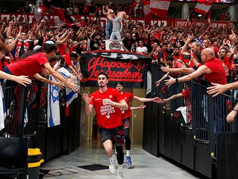 אווירה מדהימה (אלן שיבר)