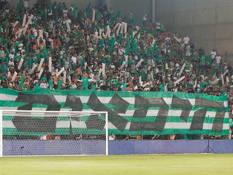 האוהדים מתכננים להגיע בהמוניהם (אלן שיבר)