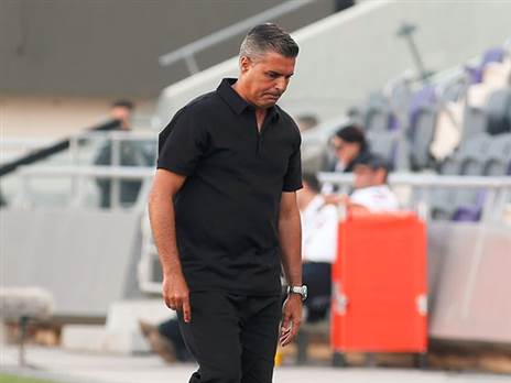 עוד לא הבטיח השארות, סילבס