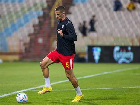 בדרך לאוסטריה? סבטקוביץ' (לירון מולדובן)