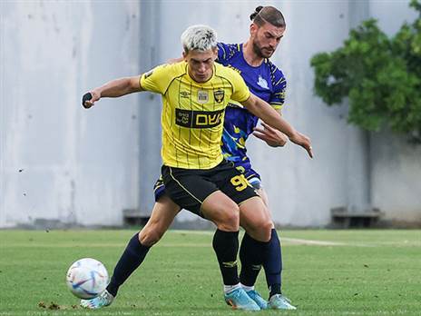 רוצים להחזיר אותו לתלם. ניקולסקו (צילום: דני מרון)