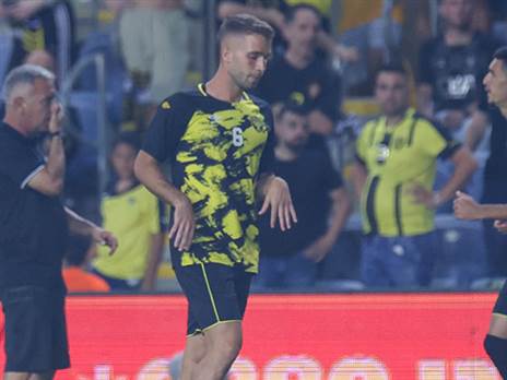 מחכה להחלטות. זרגרי (דני מרון)