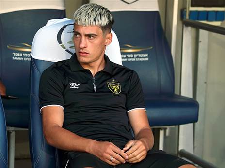 בשנה הקרובה בהולנד. ניקולסקו (אלן שיבר)