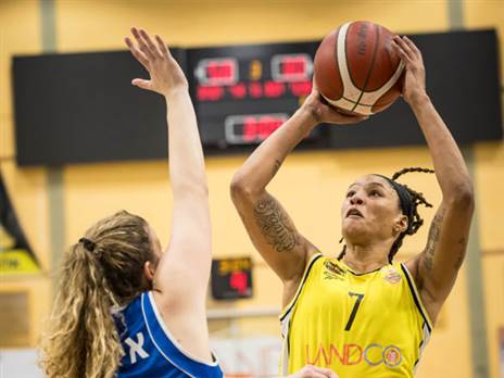 (איגוד הכדורסל)