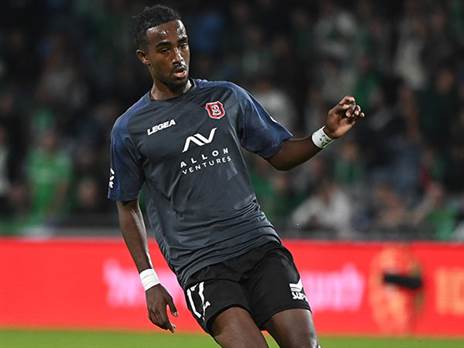 הקרב על קאסה (ברני ארדוב)