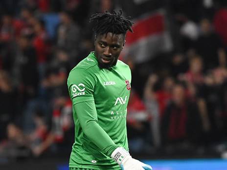 אדליי. עונה שירצה לשכוח (ברני ארדוב)