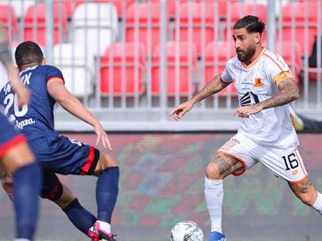 (צילום: מאור אלקסלסי)