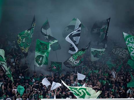 (מאור אלקסלסי)