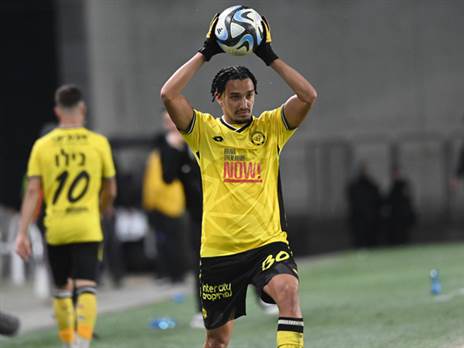 (ברני ארדוב)