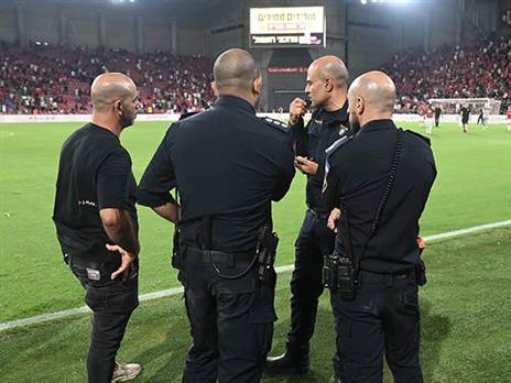 (ברני ארדוב)