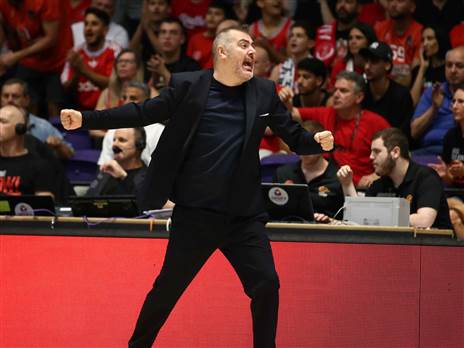 אודי ציטיאט