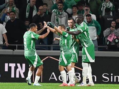 חיפה. מתחילה להתחבר (ברני ארדוב)