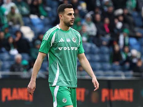 סיבה מצהוב. (דני מרון)