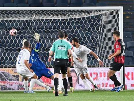 (ברני ארדוב)