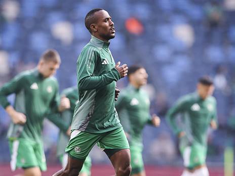 (מאור אלקסלסי)