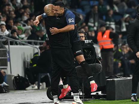 משחק החזרה (אלן שיבר)