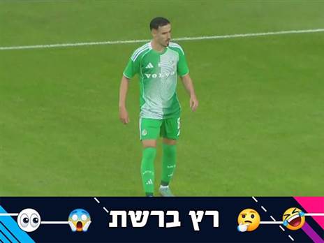 (אלן שיבר)