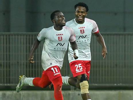 (ברני ארדוב)