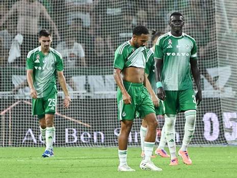 אכזבה גדולה (ברני ארדוב)