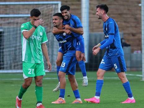 (אודי ציטיאט)