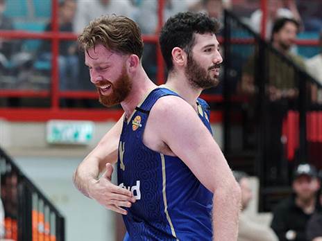 משחק נהדר ללביא (אלן שיבר)