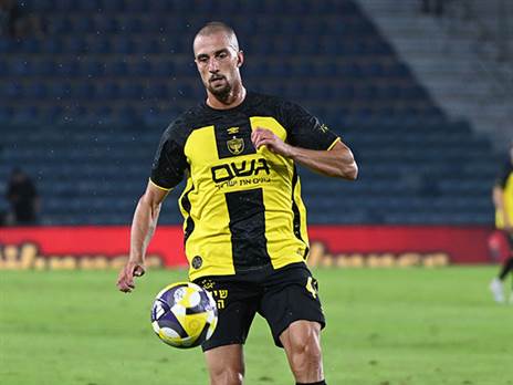 (ברני ארדוב)